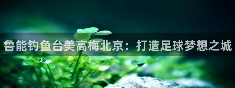 jdb电子花果山传奇