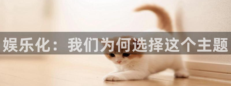 jdb电子台湾黑熊