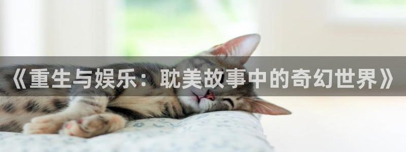 jdb电子夺宝下载