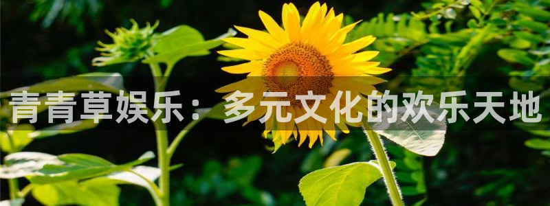 jdb电子平台下载