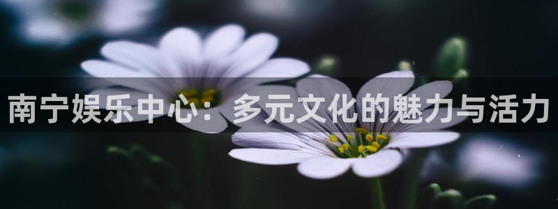 jdb电子台湾黑熊