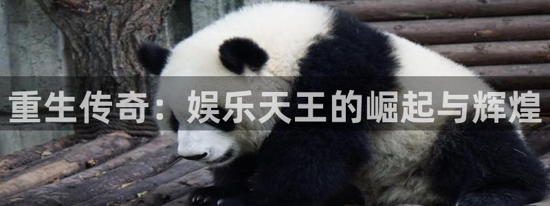 jdb电子官网