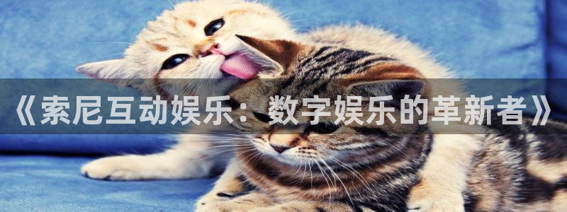 jdb电子娱乐官网：《索尼互动娱乐：数字娱乐的革新者》