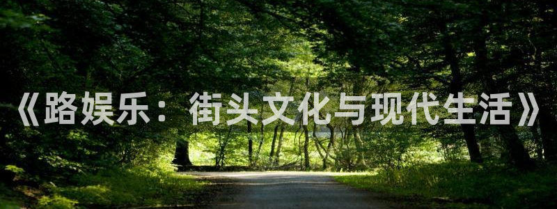 jdb电子：《路娱乐：街头文化与现代生活》