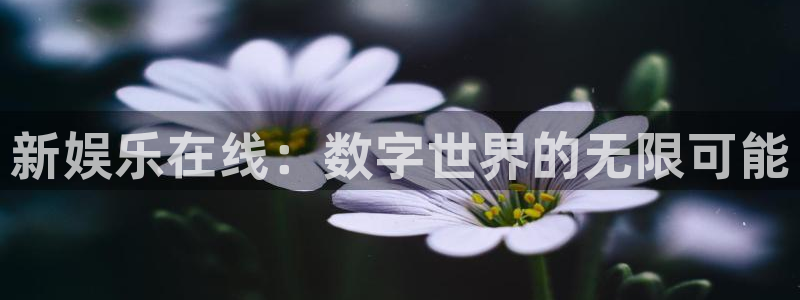 jdb电子游戏官方网站：新娱乐在线：数字世界的无限可能