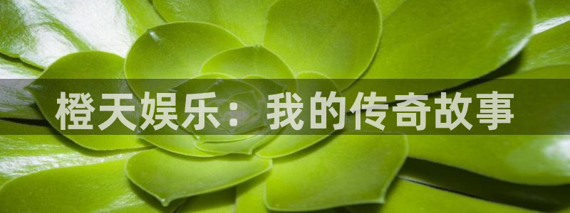 jdb电子首页平台：橙天娱乐：我的传奇故事