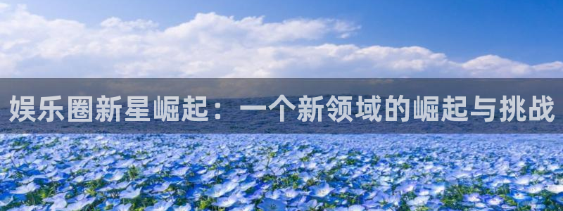 澳门jdb电子游戏：娱乐圈新星崛起：一个新领域的崛起与挑战