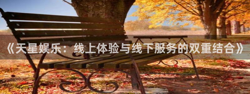 jdb变脸电子游戏技巧：《天星娱乐：线上体验与线下服务的双重结合》