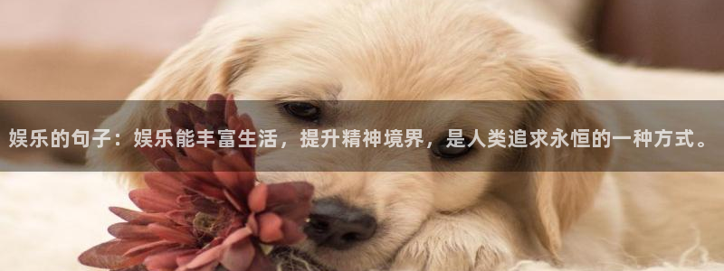 jdb电子哪个游戏好：娱乐的句子：娱乐能丰富生活，提升精神境界，是人类追求永恒的一种方式。