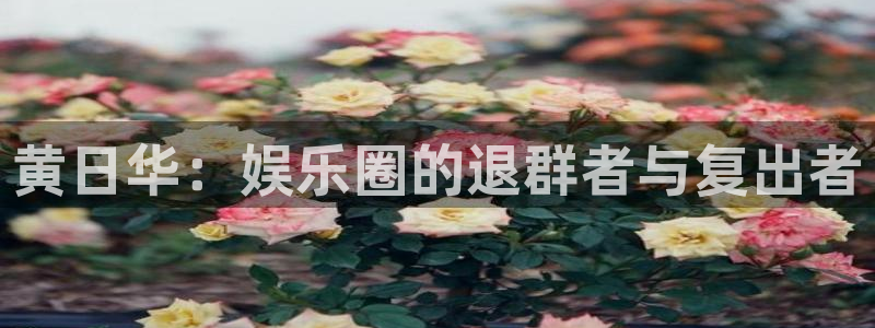 jdb电子娱乐：黄日华：娱乐圈的退群者与复出者