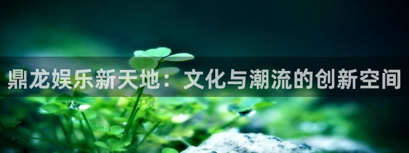 jdb电子花果山传奇：鼎龙娱乐新天地：文化与潮流的创新空间