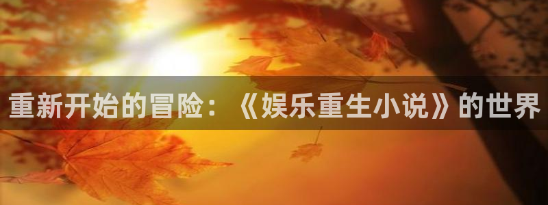 jdb电子夺宝官网：重新开始的冒险：《娱乐重生小说》的世界