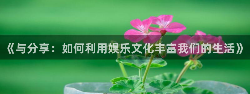 jdb：《与分享：如何利用娱乐文化丰富我们的生活》