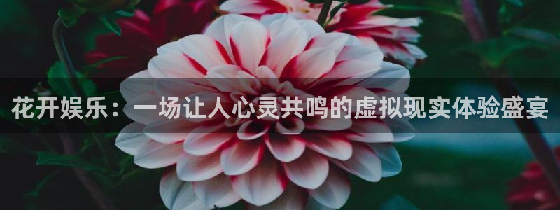 jdb电子官网入口app：花开娱乐：一场让人心灵共鸣的虚拟现实体验盛宴