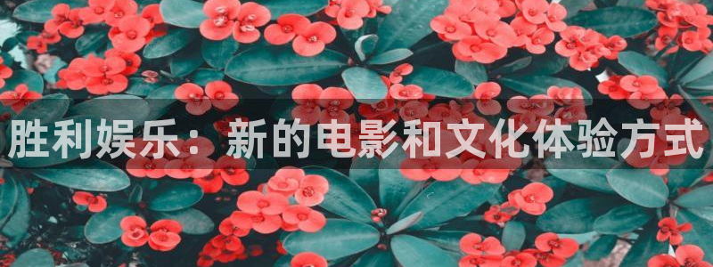 jdb电子游戏平台：胜利娱乐：新的电影和文化体验方式